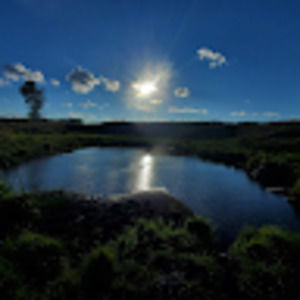 Meet your Posher, Brad